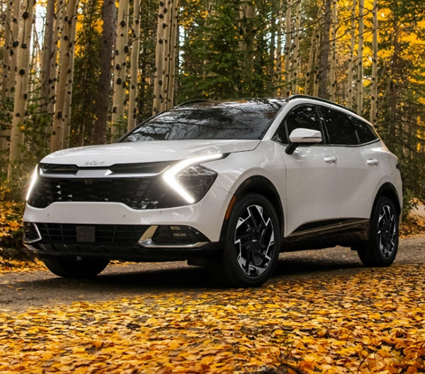 2024 Kia Sportage
